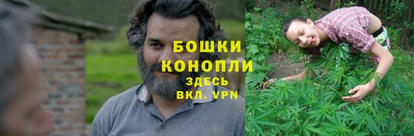 молекула духа Бикин