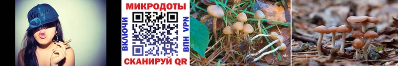 Галлюциногенные грибы Psilocybe  МЕГА вход  Иннополис 