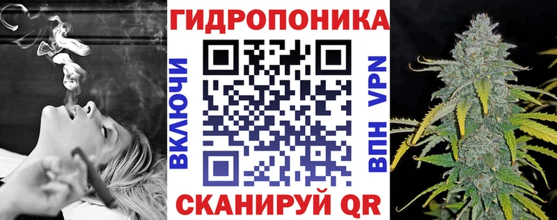 blacksprut как зайти Иннополис Бошки марихуана Ganja