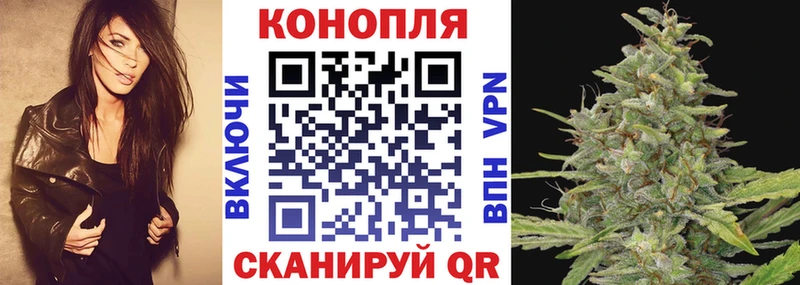 Бошки марихуана Amnesia Иннополис